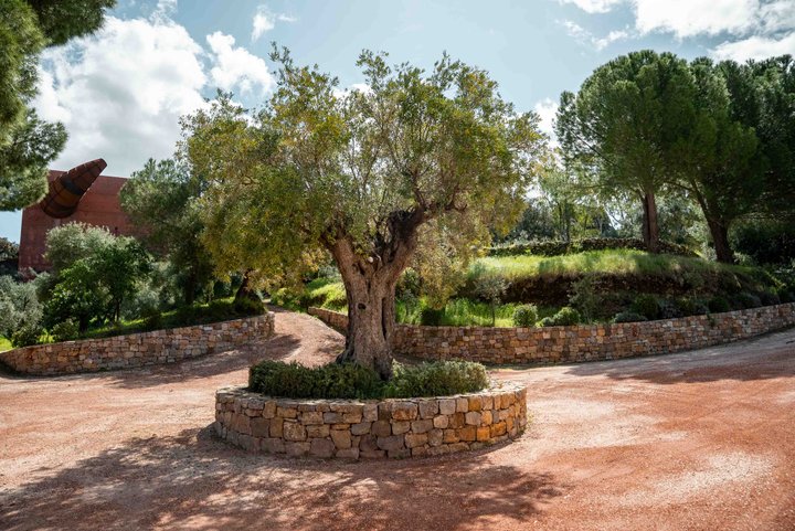 LA ALMAZARA - FINCA RURAL