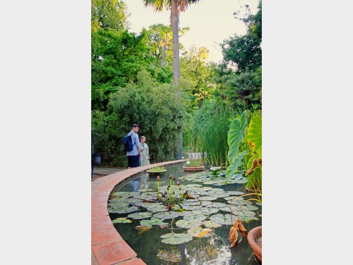 JARDINES DE MONFORTE.