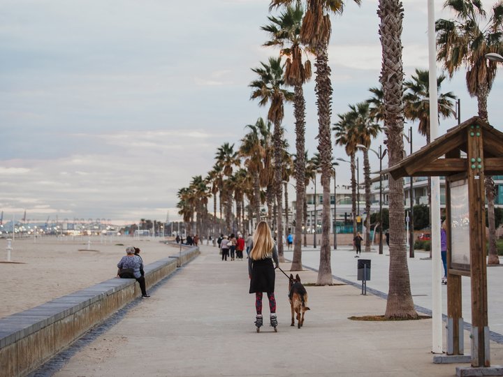 Playa PATACONA. Alboraya