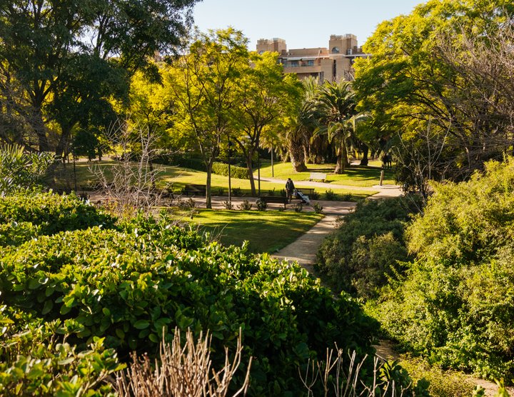 JARDÍN DE POLÍFILO. CAMPANAR