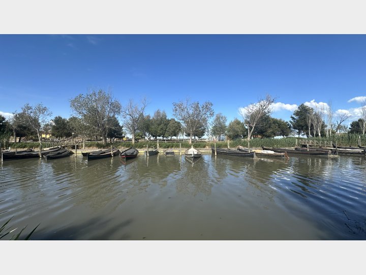 Google Drive Photo