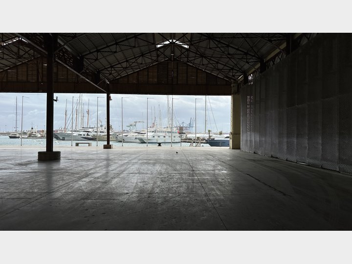 Google Drive Photo