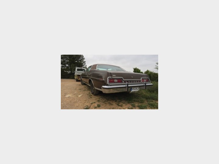 Google Drive Photo