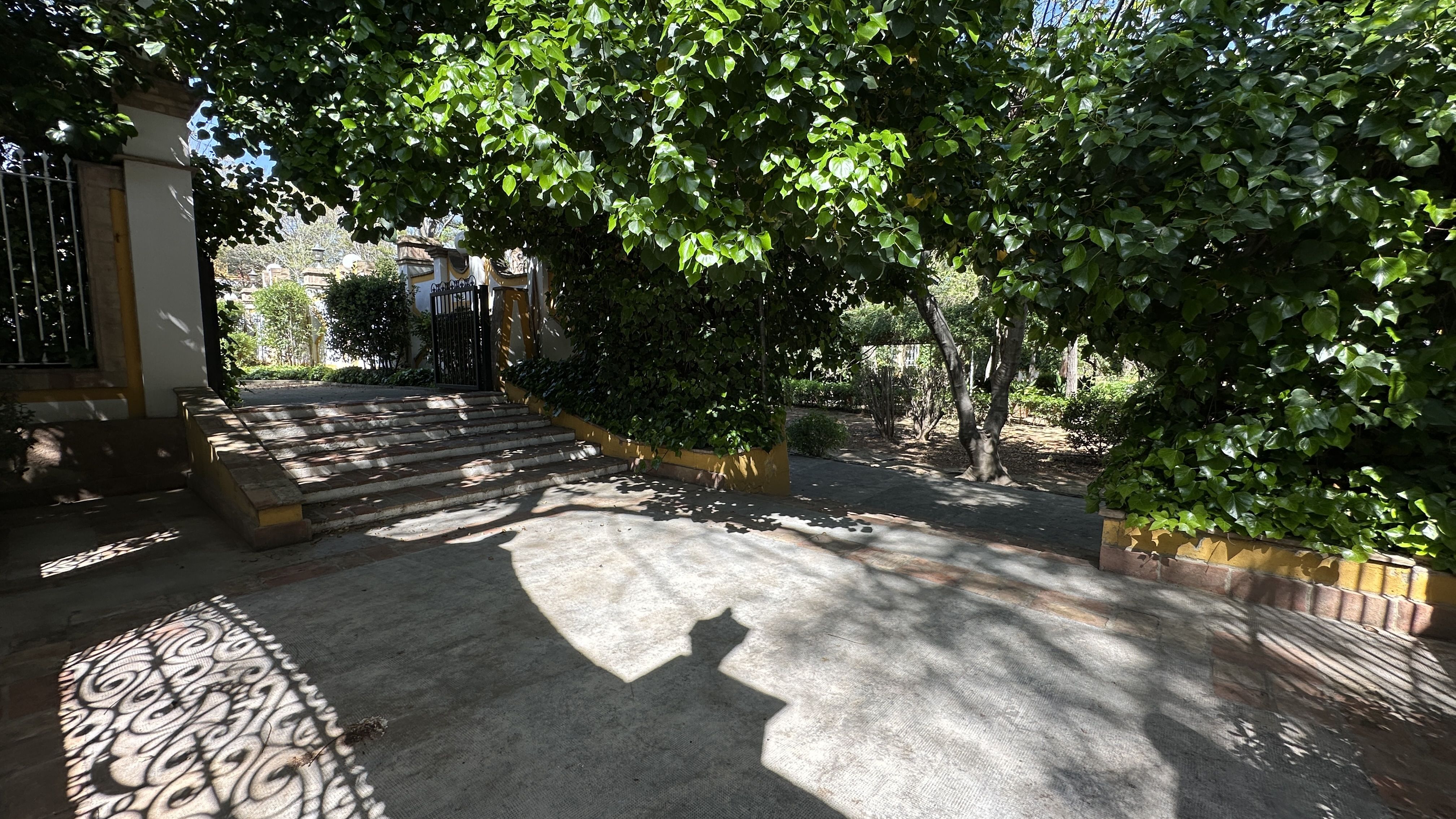 Google Drive Photo
