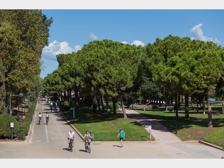 JARDINES DEL TURIA