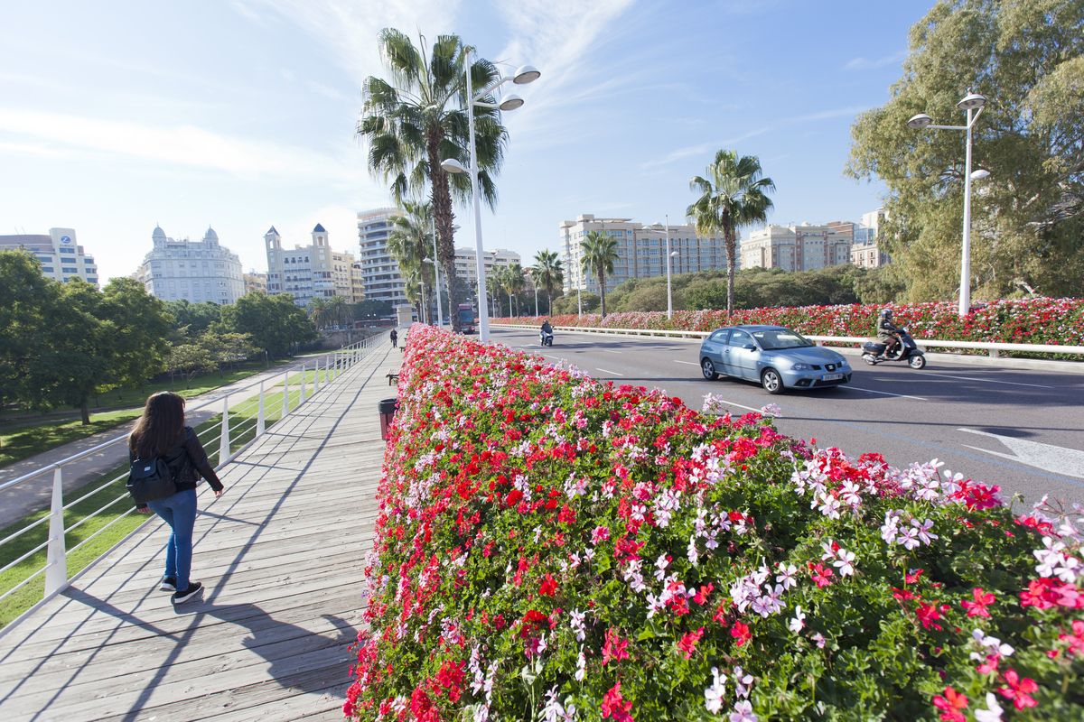 Puente de las flores.