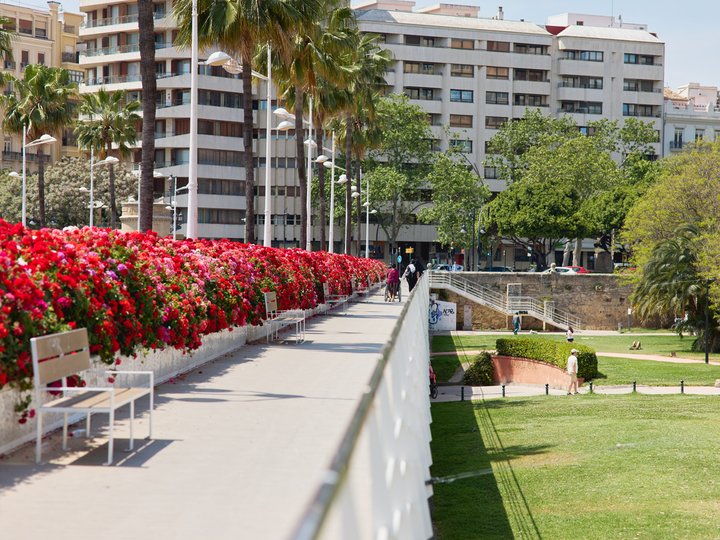Puente de las flores.