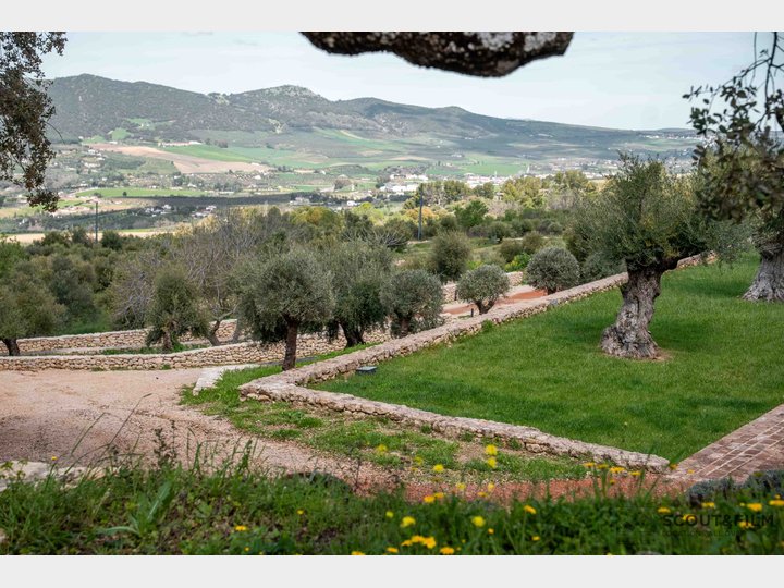 LA ALMAZARA - GREENHOUSE Y PARKING