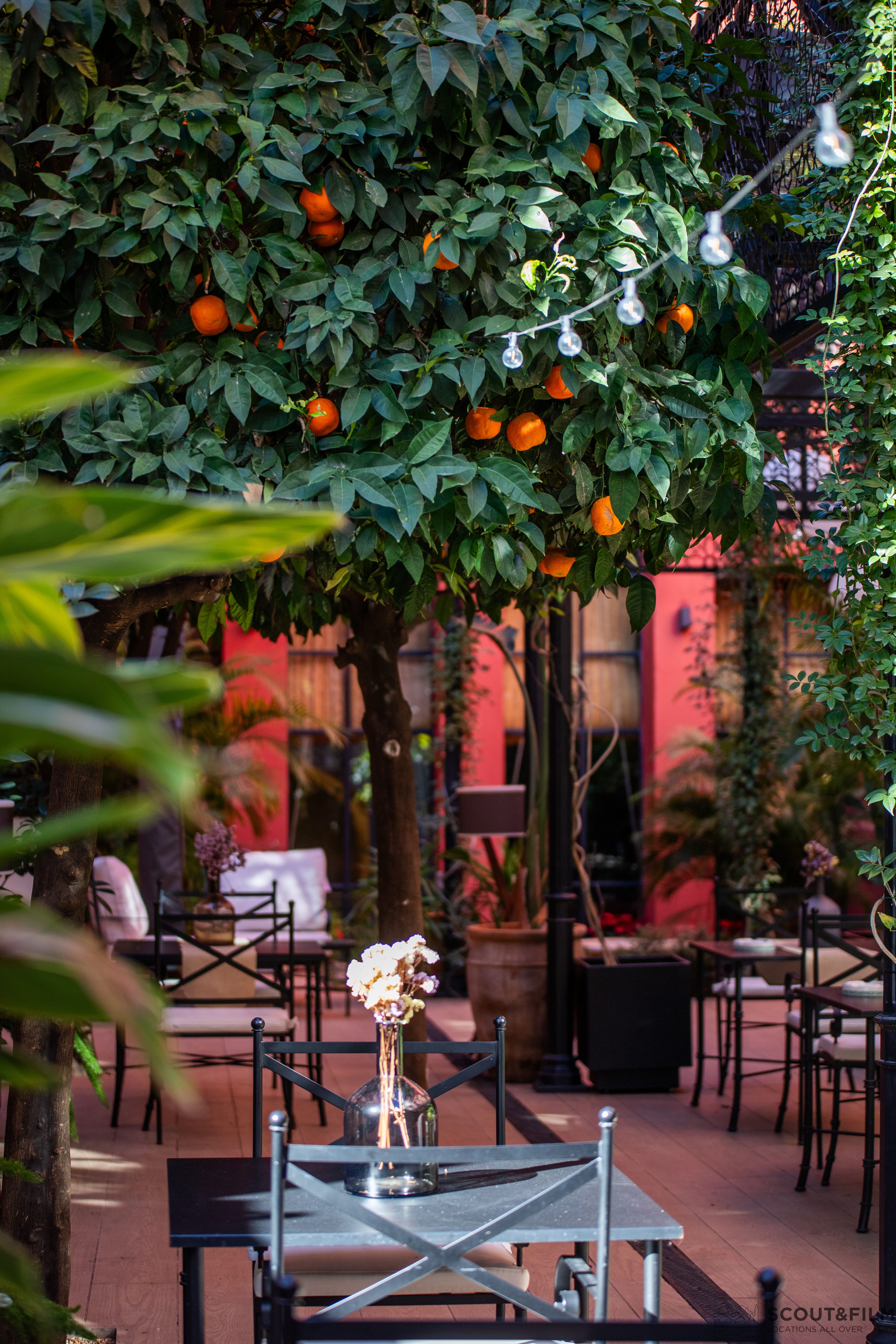 RESTAURANTE EL PATIO DEL PALI - SEVILLA