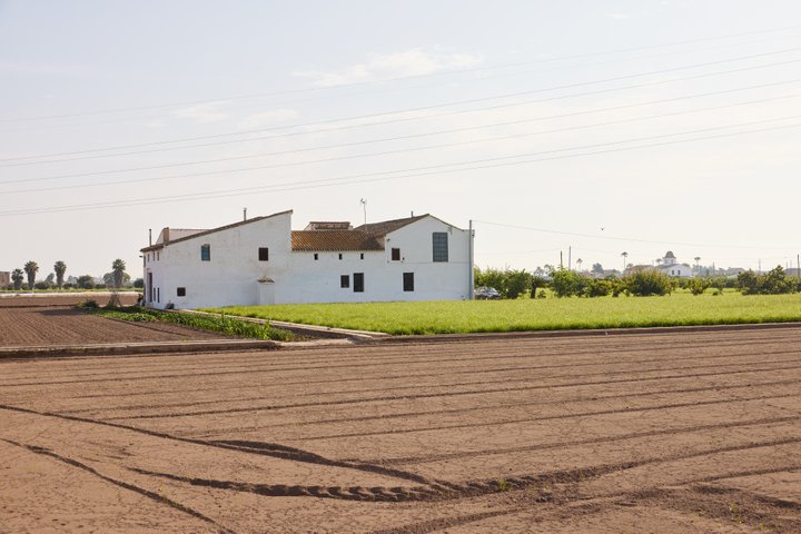 L'horta