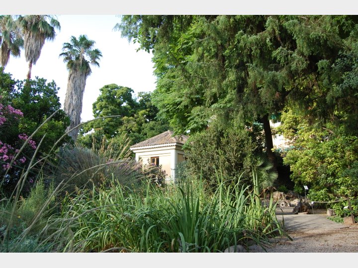 JARDÍN BOTÁNICO