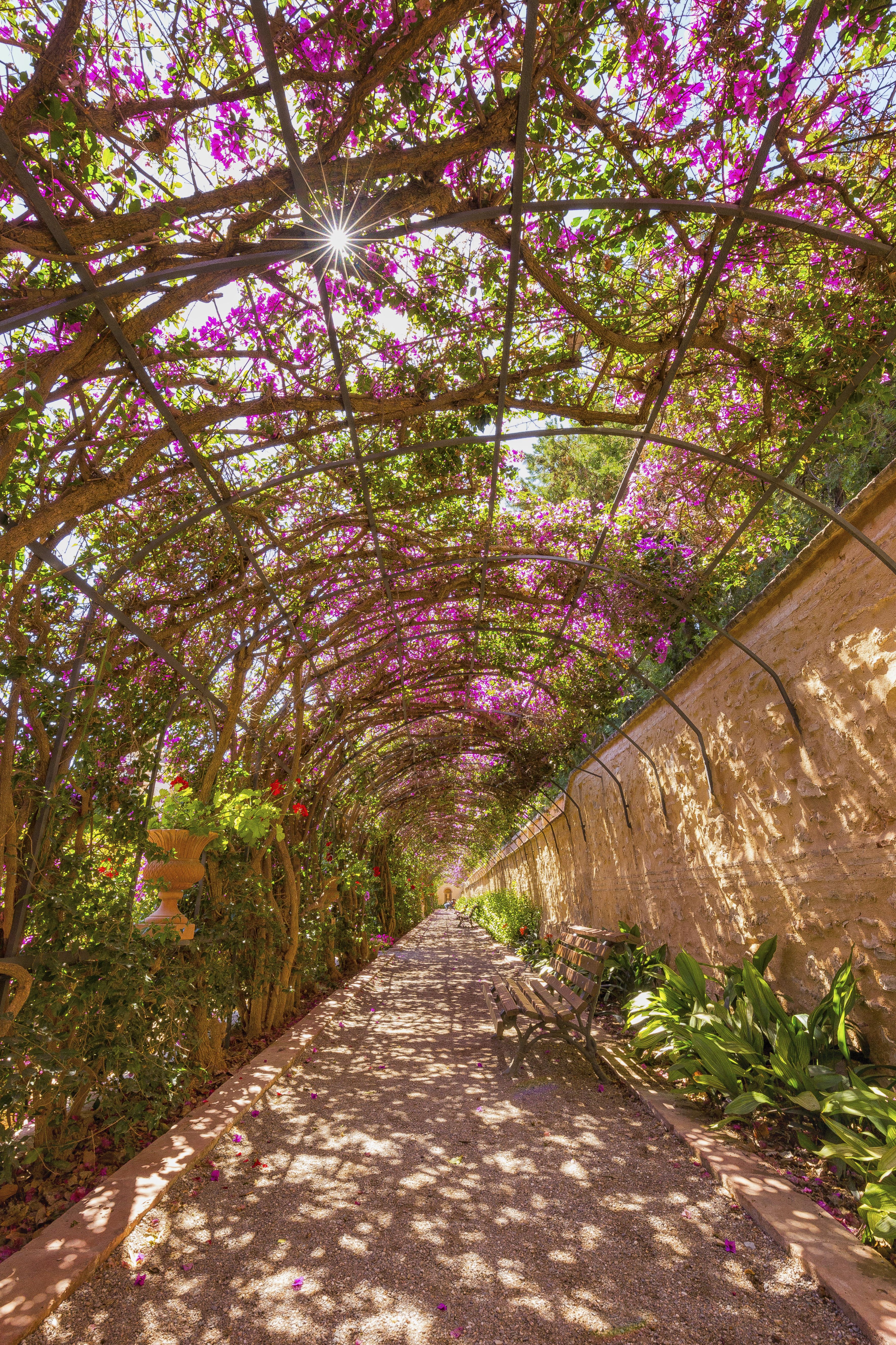 JARDINES DE MONFORTE.
