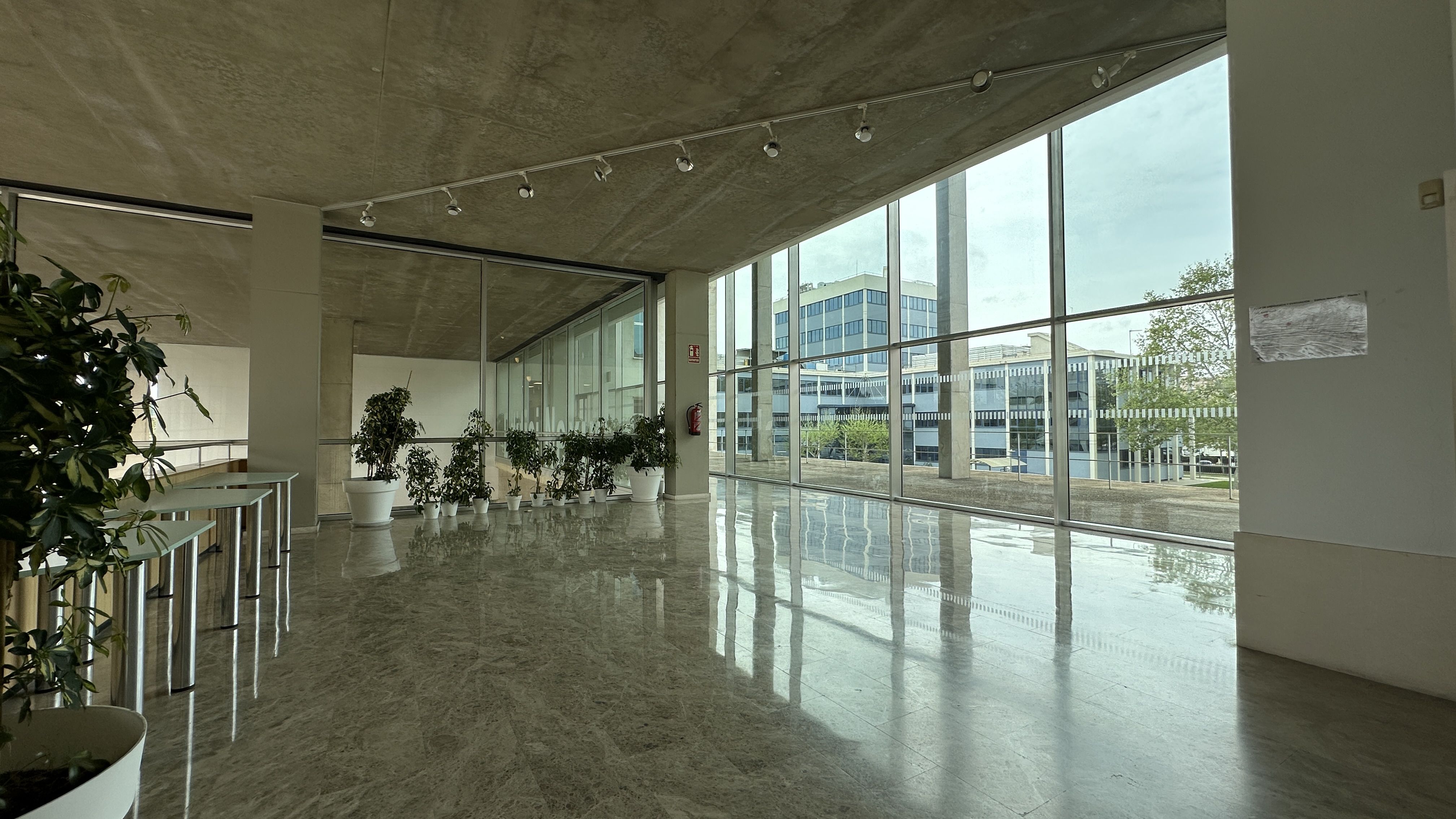 Google Drive Photo