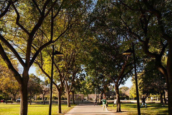 JARDÍN DE POLÍFILO. CAMPANAR