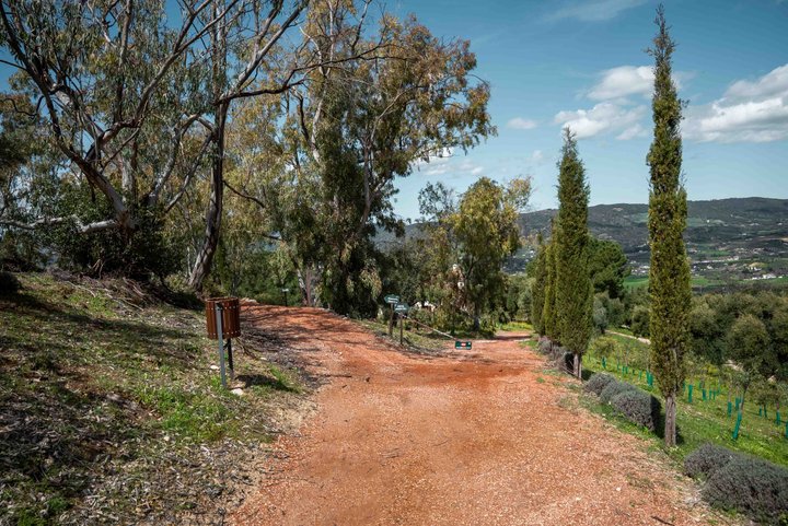 LA ALMAZARA - FINCA RURAL