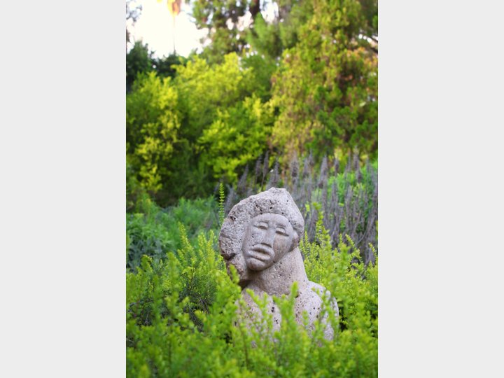 JARDÍN BOTÁNICO