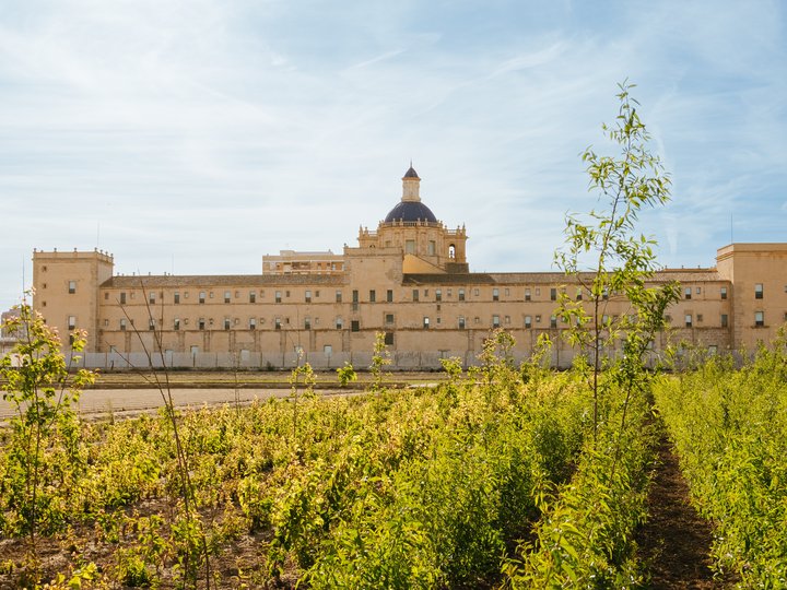 MONASTERIO SAN MIGUEL DE LOS REYES