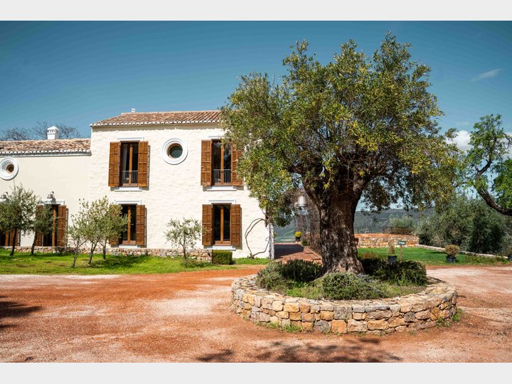 LA ALMAZARA - FINCA RURAL