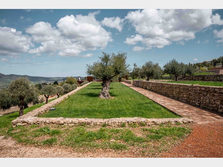 LA ALMAZARA - GREENHOUSE Y PARKING