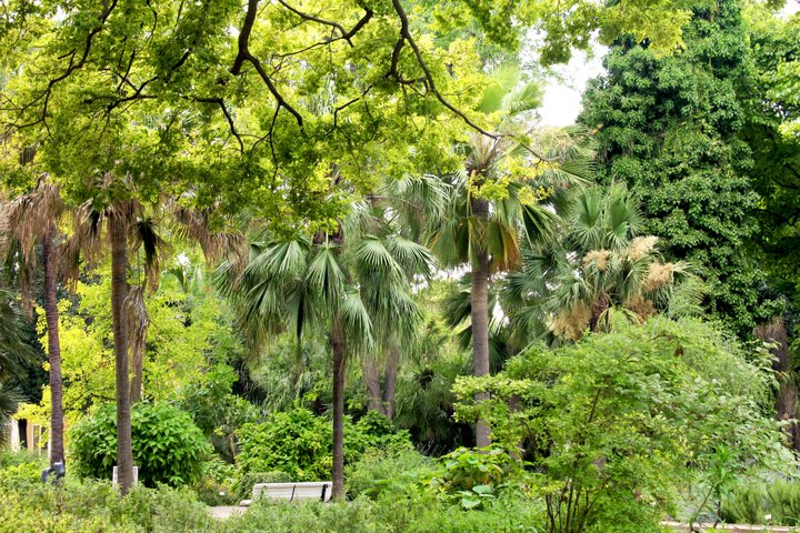 JARDÍN BOTÁNICO