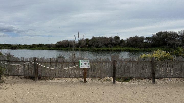 Google Drive Photo