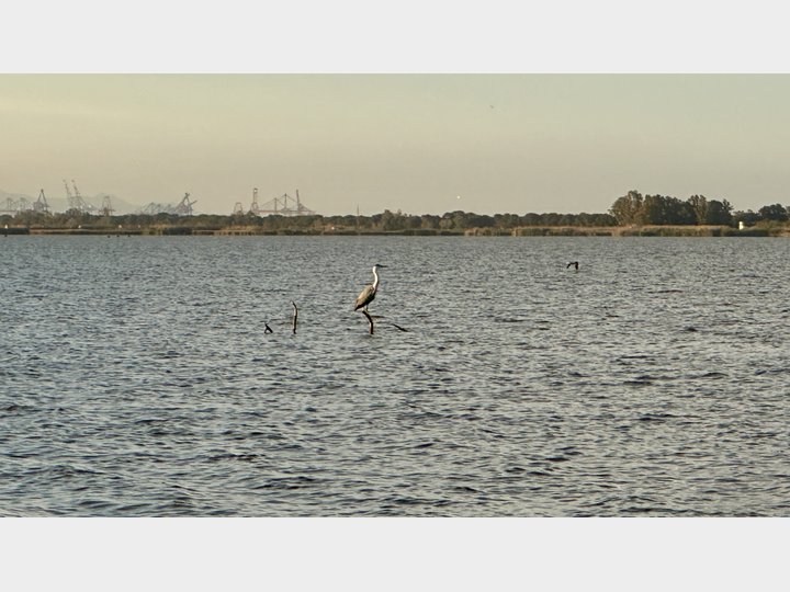 Google Drive Photo