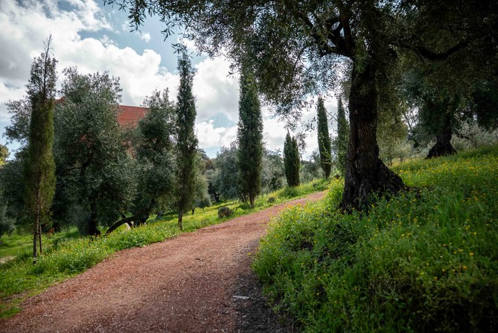 LA ALMAZARA - FINCA RURAL