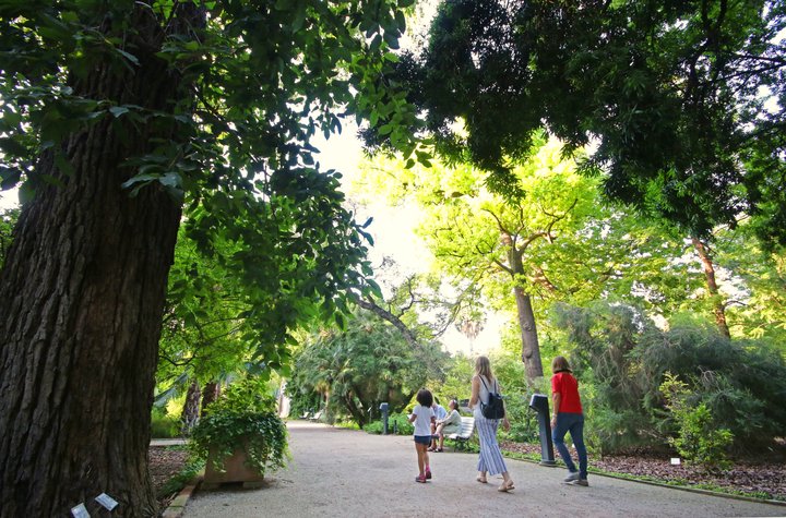 JARDÍN BOTÁNICO