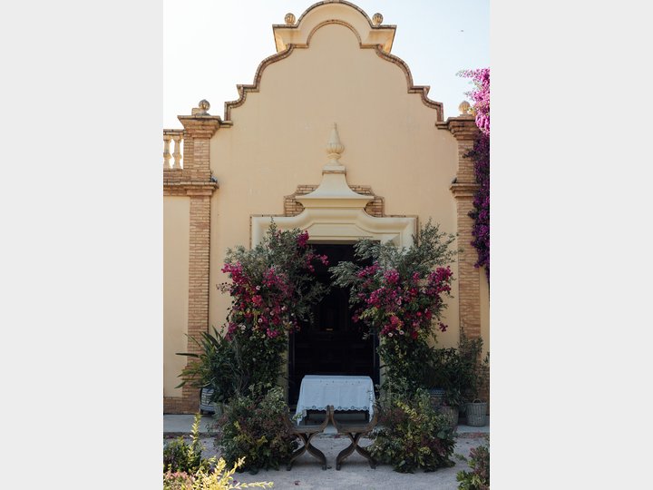 HUERTO SAN VICENTE