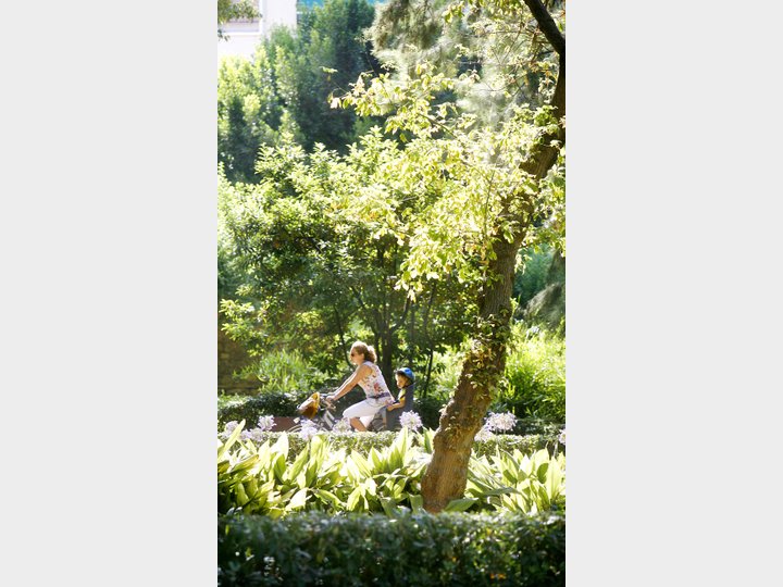 JARDÍN DE AYORA