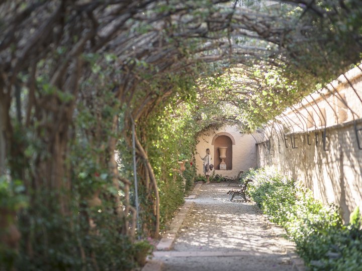 JARDINES DE MONFORTE.