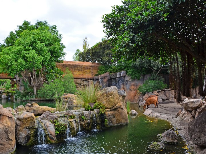 BIOPARC