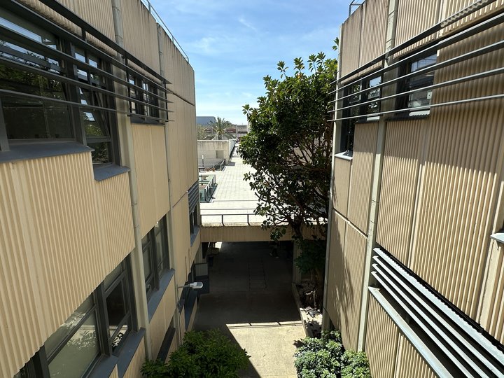 Google Drive Photo