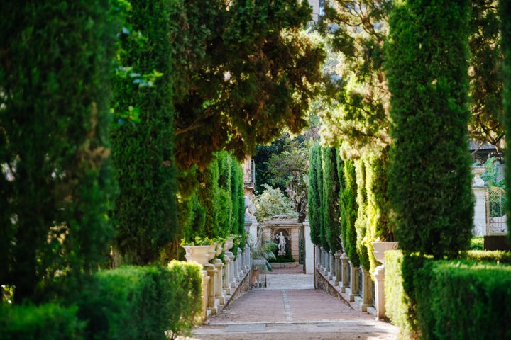 JARDINES DE MONFORTE.
