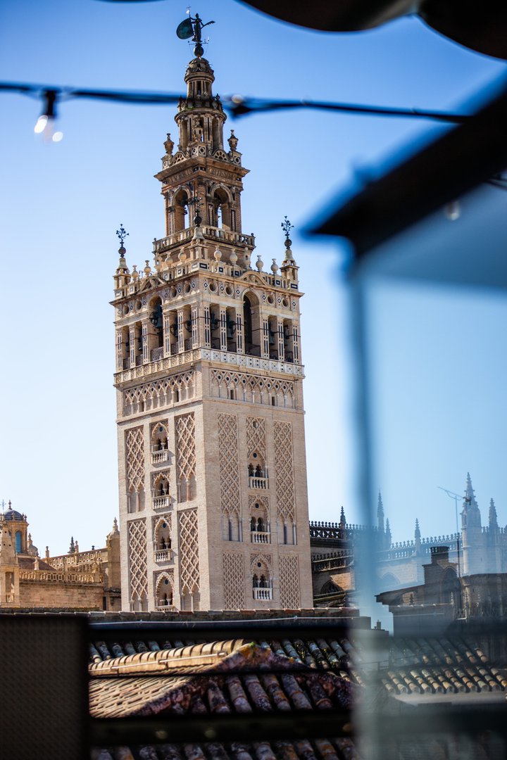 TERRAZA PURA VIDA - SEVILLA