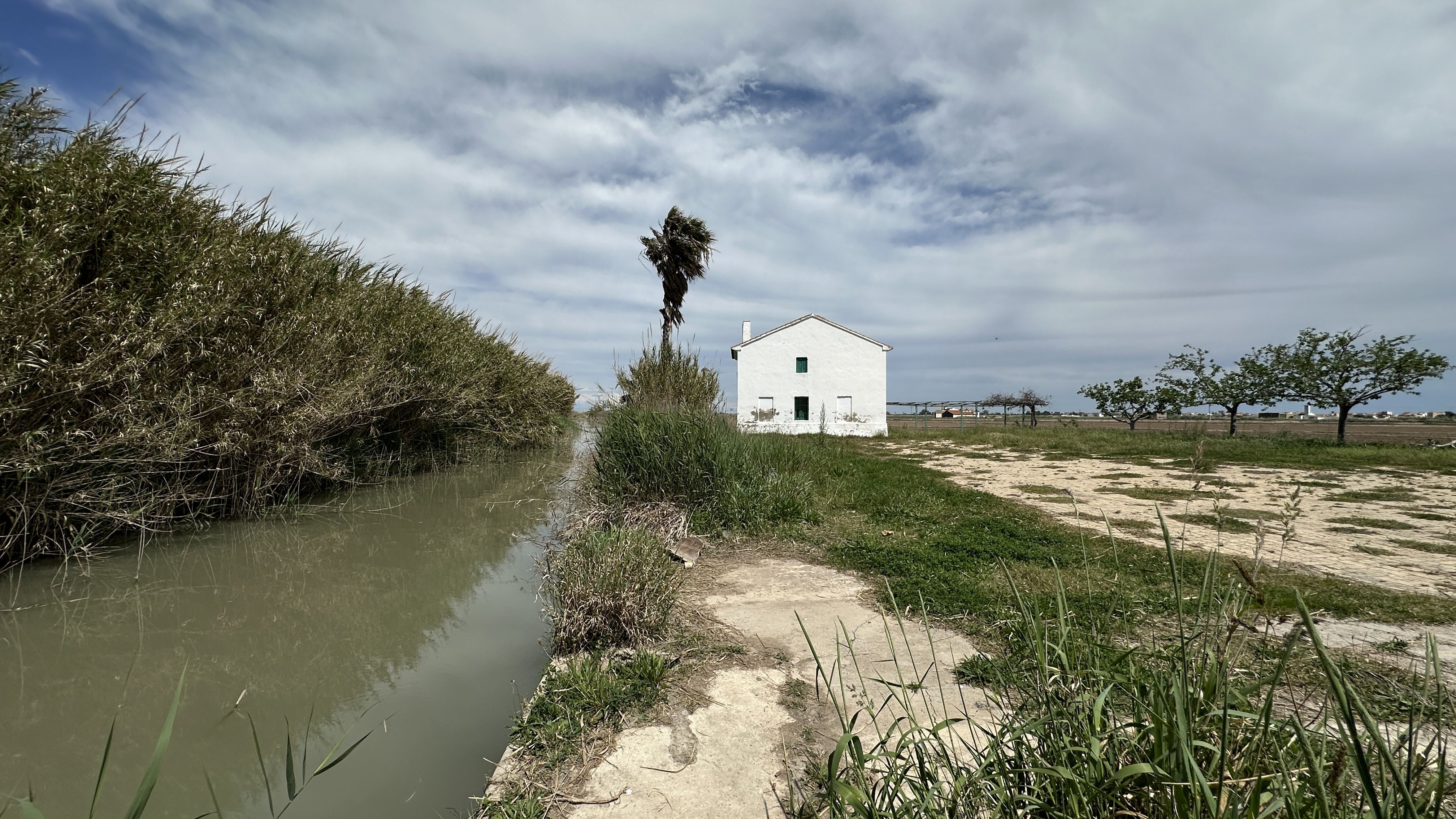 Google Drive Photo