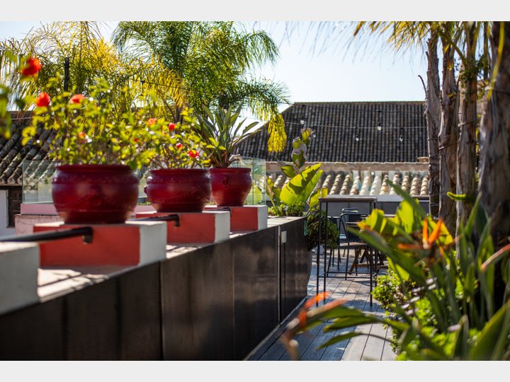 TERRAZA PURA VIDA - SEVILLA