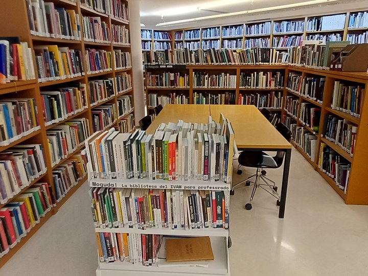 IVAM Biblioteca
