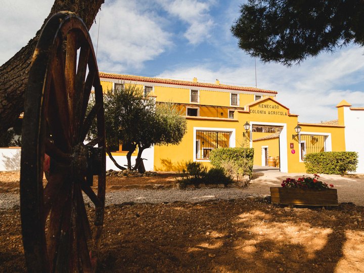 Bodegas Nodus