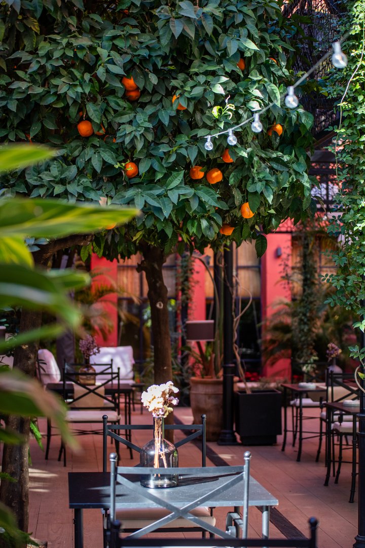 RESTAURANTE EL PATIO DEL PALI - SEVILLA