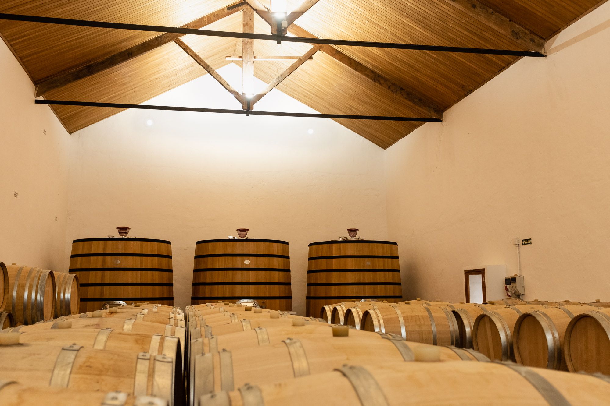 Bodegas Nodus