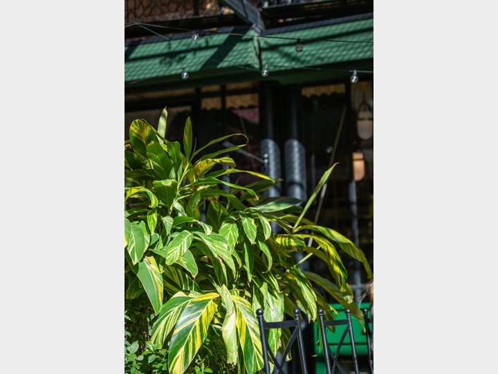 RESTAURANTE EL PATIO DEL PALI - SEVILLA
