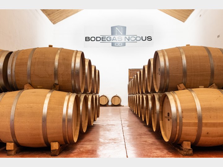 Bodegas Nodus