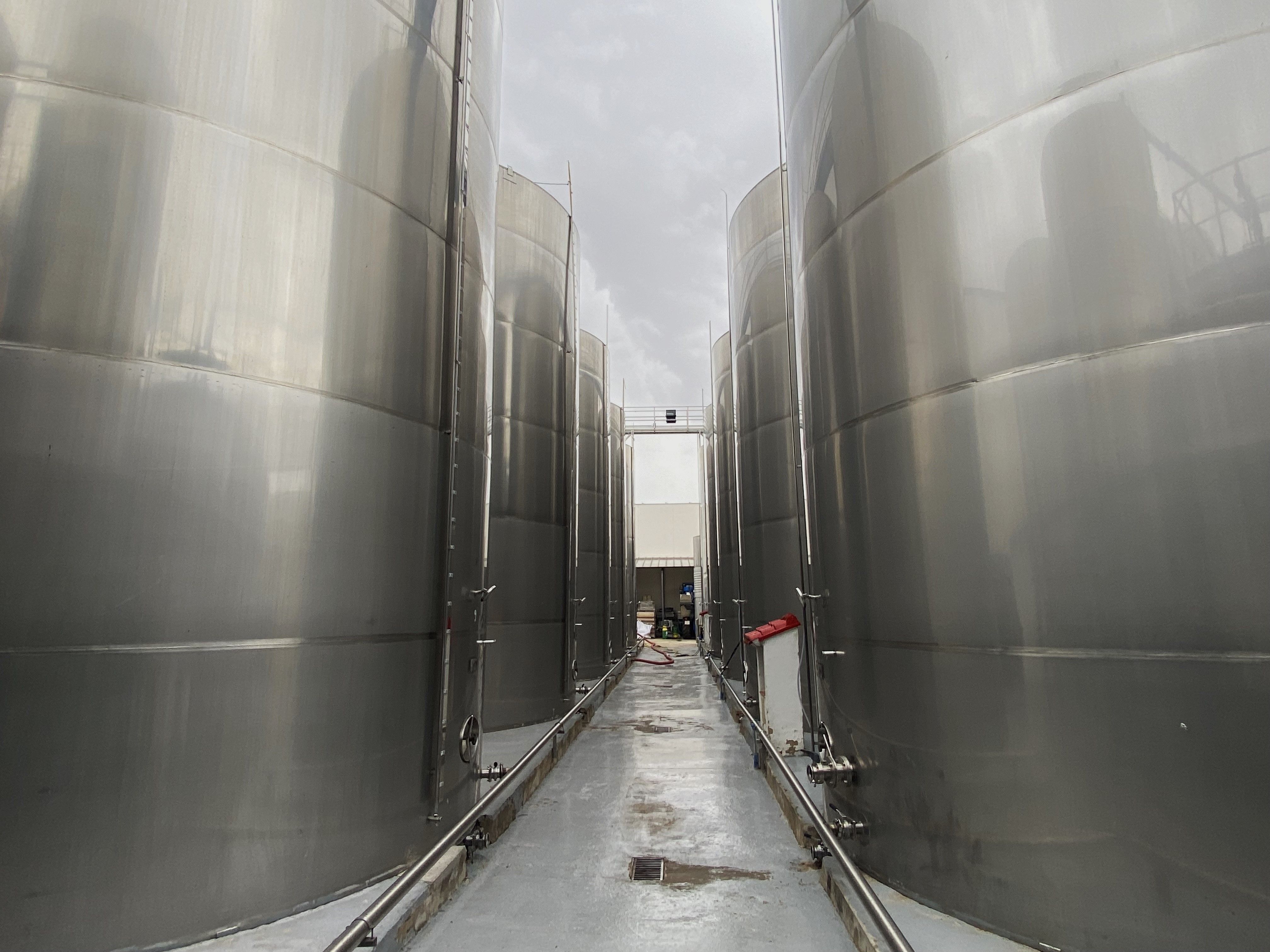 Bodegas Nodus