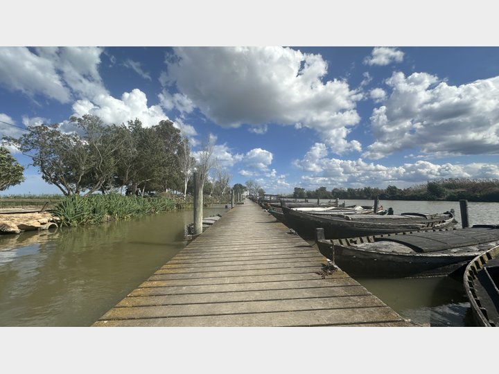 Google Drive Photo