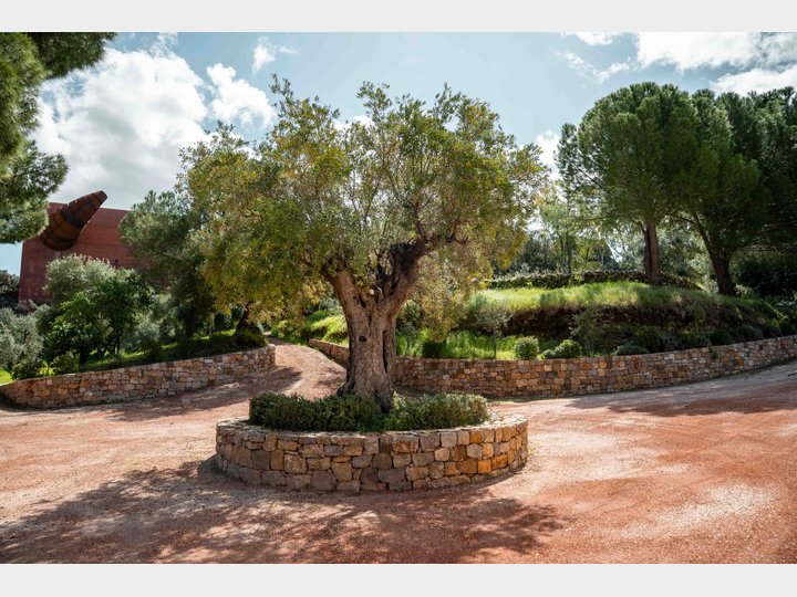 LA ALMAZARA - FINCA RURAL