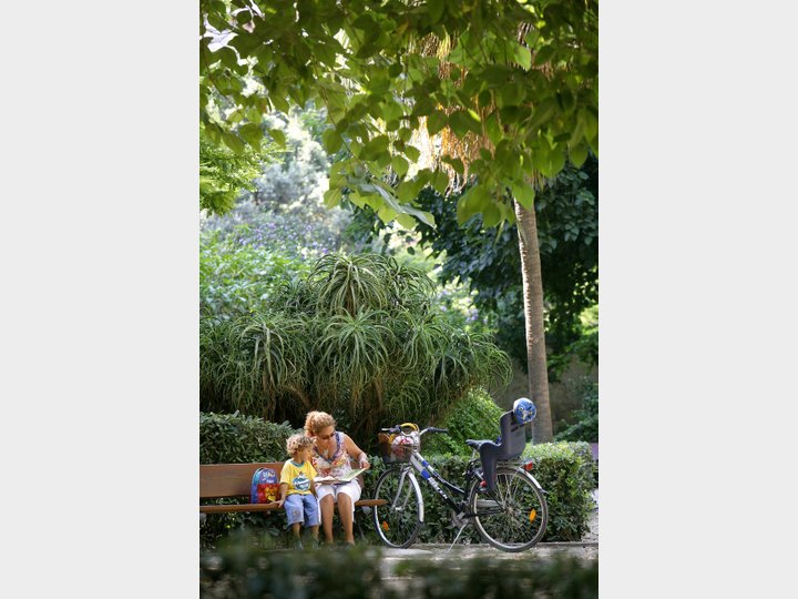 JARDÍN DE AYORA