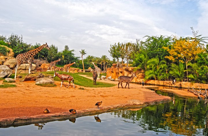 BIOPARC