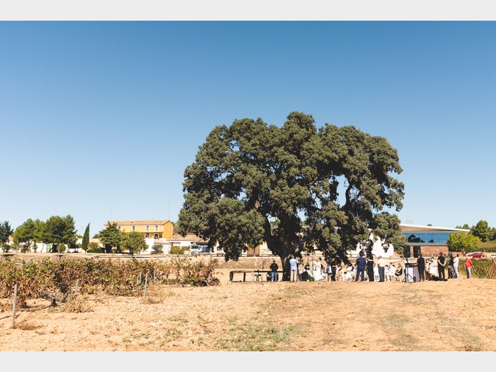 Bodegas Nodus