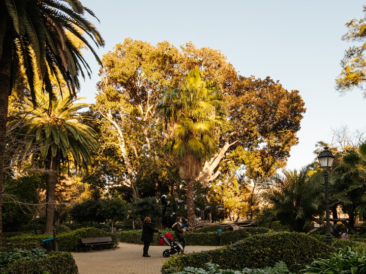 JARDÍN DE AYORA